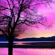 Mẹ của các nhân vật chính