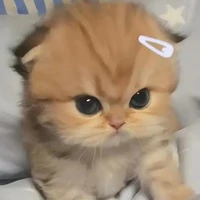 Tác giả