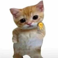 tác giả bel