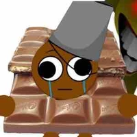 Brud