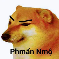 cheems phẩn nộ