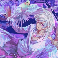 Hiha hologram