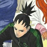 shikadai