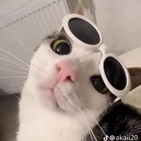 Thuyền Trưởng WENHAN "tác giả"