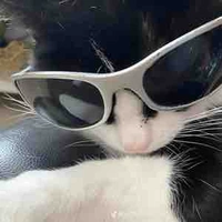 T/g lười viết ✍️🥹