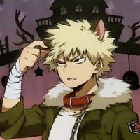 katsuki bakugou