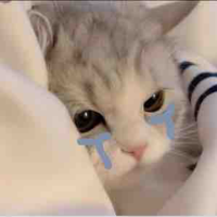Nhỏ t/g