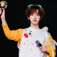 Hạ Tuấn Lâm : anh