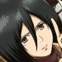 mikasa