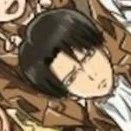 levi