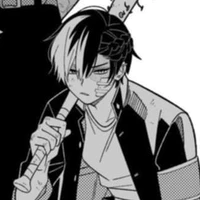 Todoroki shoto