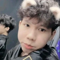 Hữu Đạt Phoenix