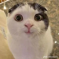 Nhỏ tác giả khùng khùng điên điên🥰👊🎀