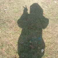 Dâuu:3