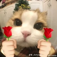 tác giả 