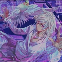 hiha hologram