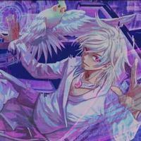 hiha hologram