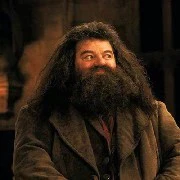 Hagrid/ chú Harry