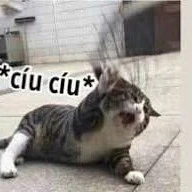 all (trừ những người cần trừ)