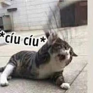 all (trừ những người cần trừ)