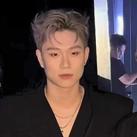 dương domic