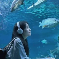 Nguyễn Trần Ngân Hà