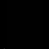NV phụ
