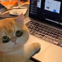 tác giả