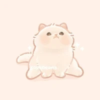 bánh bao (tiểu mập)