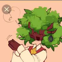 Mr. Tree🌳
