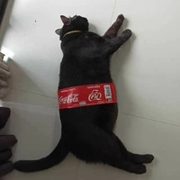 Tg và con fatfuck meow