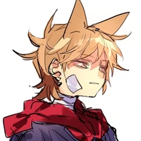 Tord (leader red)
