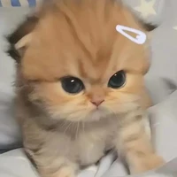 Tác giả
