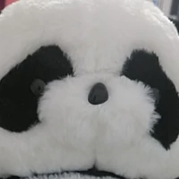 Cả lớp