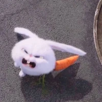 suu