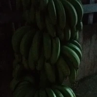 tất cả 