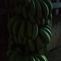 tất cả 