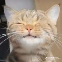 t/g