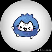hệ thống cute