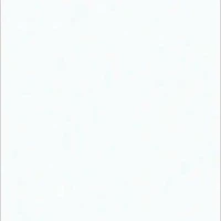 Một thứ gì đó??