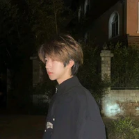 Hạ Tuấn Lâm