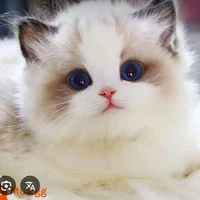 t/g số 1 =)