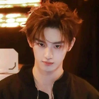 Đinh Trình Hâm