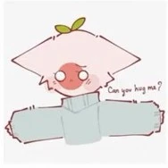 Nekomi Japan