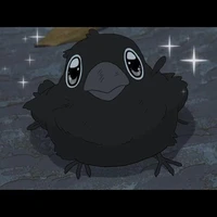 Mutig(thú cưng của Naz)