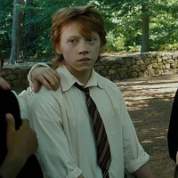 🦁ron Weasley🍗