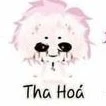 hiha tha hóa