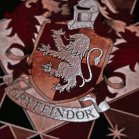 HS Gryffindor