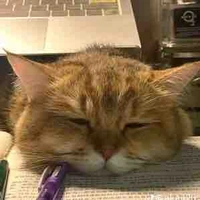 Hệ thống 05 [t/giả]