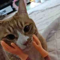 Lee Mei (tác gizả)